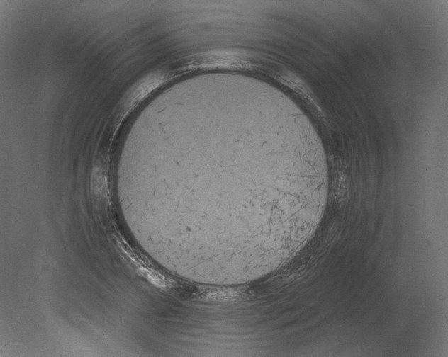 X0000080700882200701121748