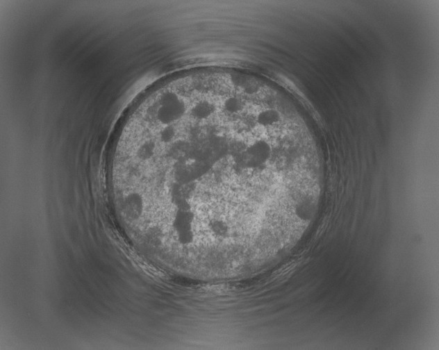 X0000080700883200701121748