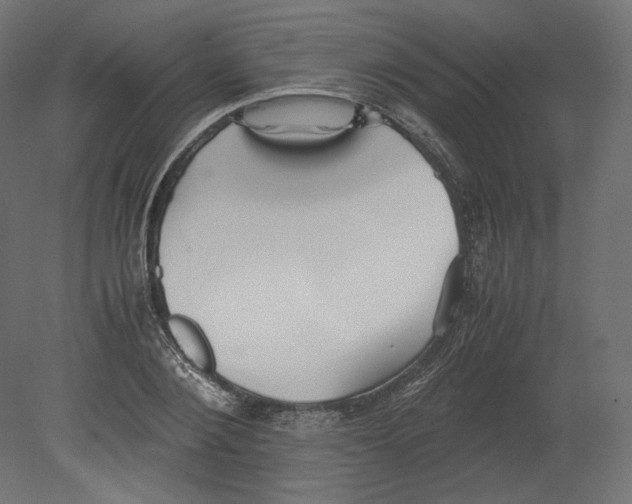 X0000080700884200701121748