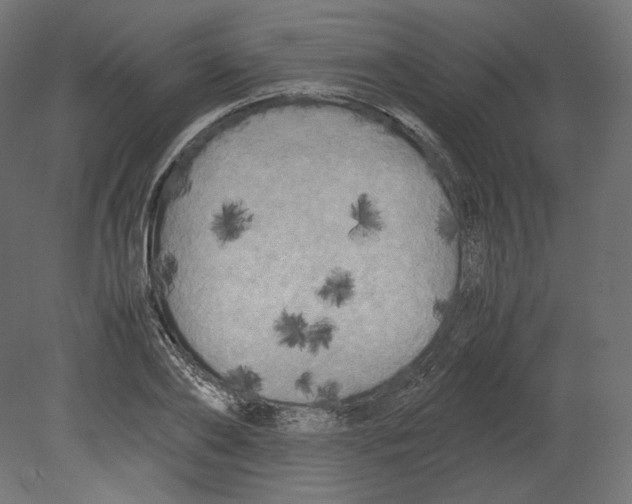 X0000080700886200701121748