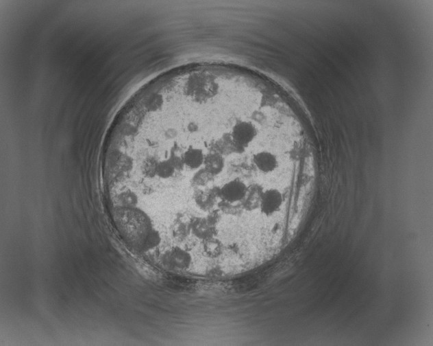 X0000080700887200701121748