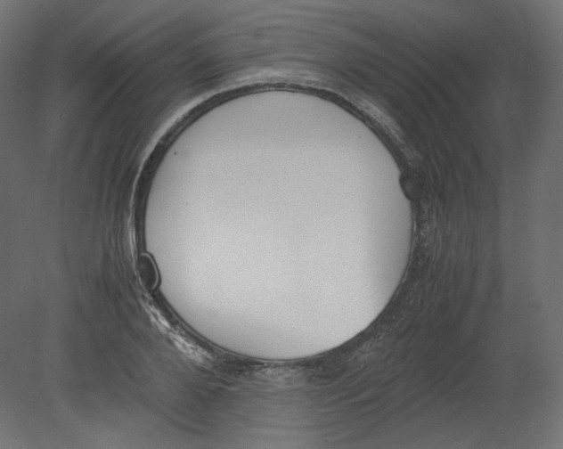 X0000080700888200701121748