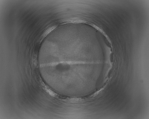 X0000080700889200701121748