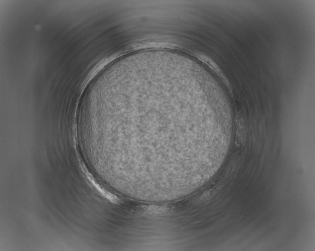 X0000080700890200701121748