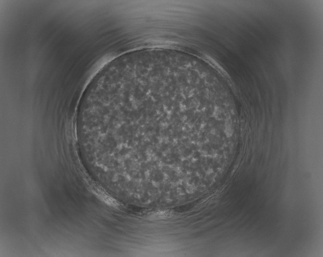 X0000080700891200701121748