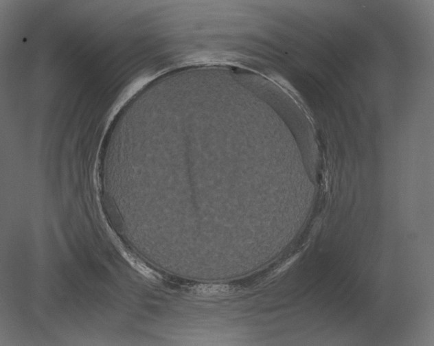 X0000080700893200701121748