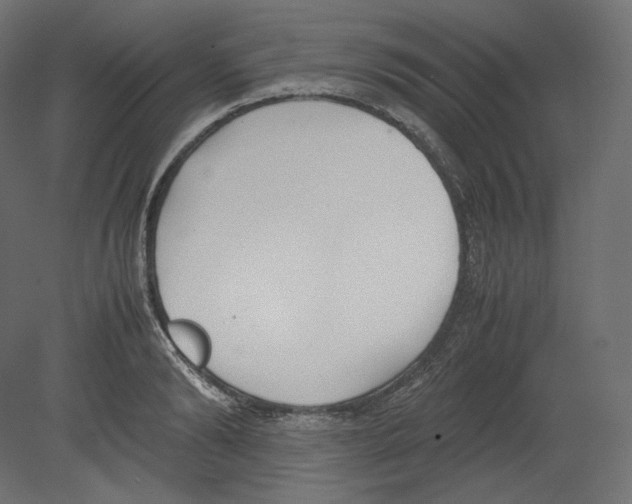 X0000080700894200701121748