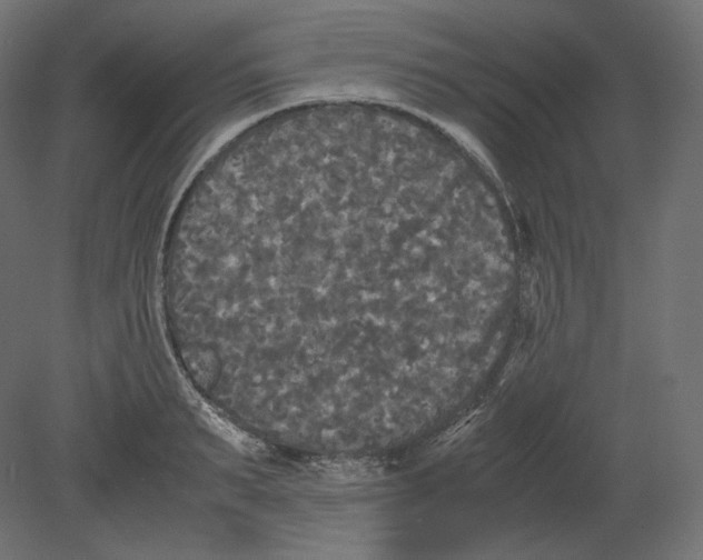 X0000080700895200701121748