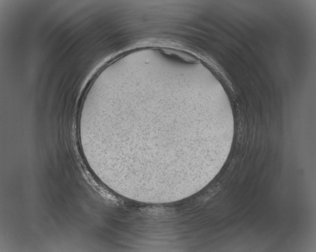 X0000080700896200701121748