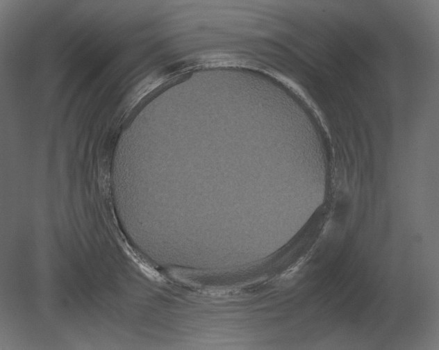 X0000080700897200701121748