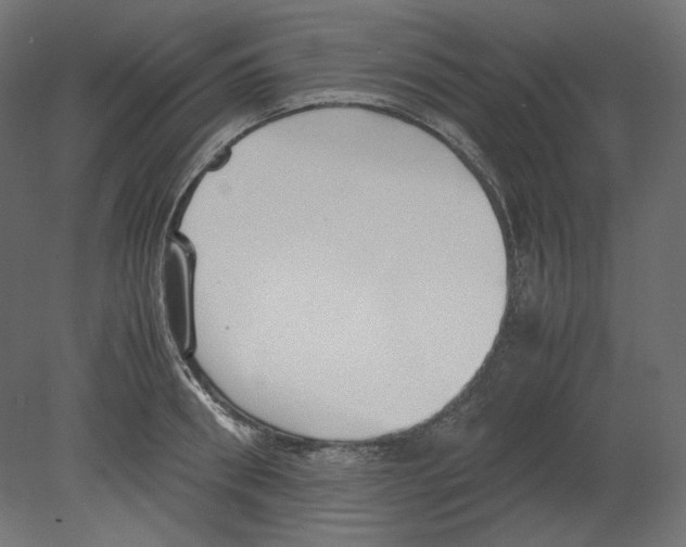 X0000080700898200701121748