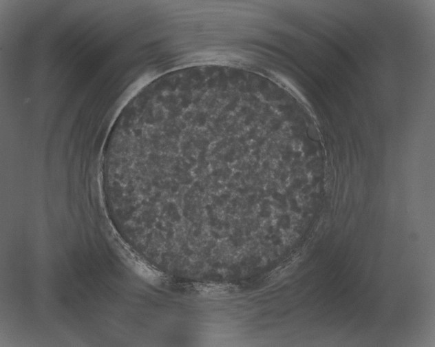 X0000080700899200701121748