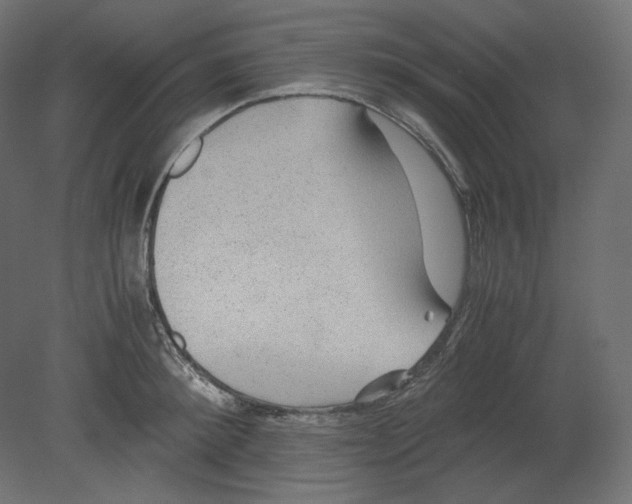 X0000080700900200701121748