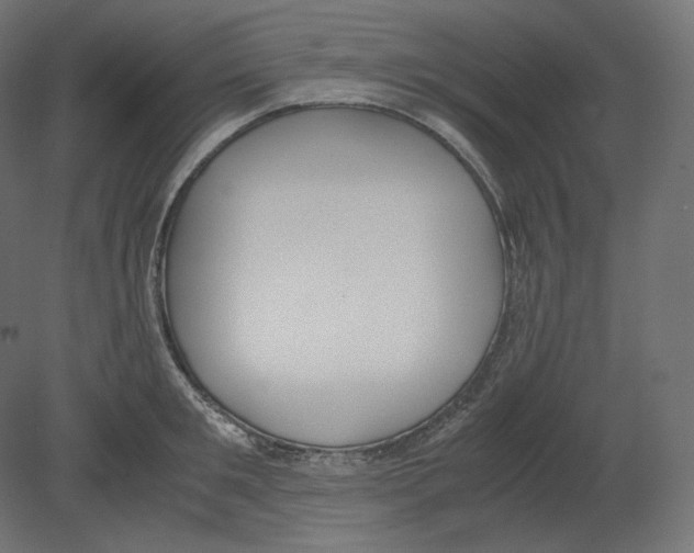 X0000080700901200701121748