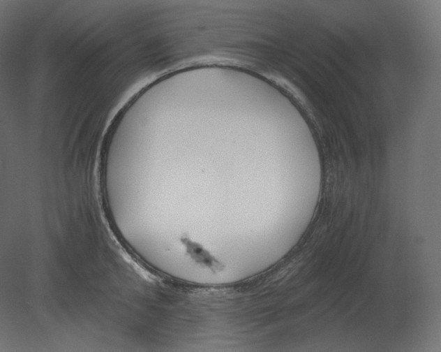 X0000080700902200701121748