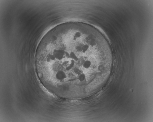 X0000080700903200701121748