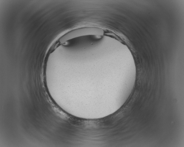 X0000080700904200701121748