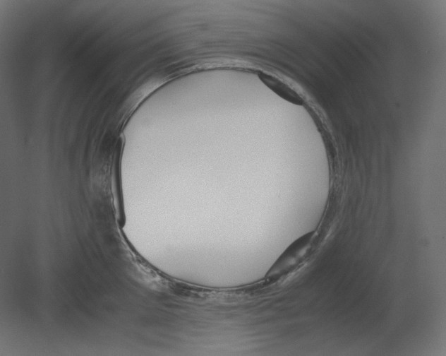 X0000080700905200701121748