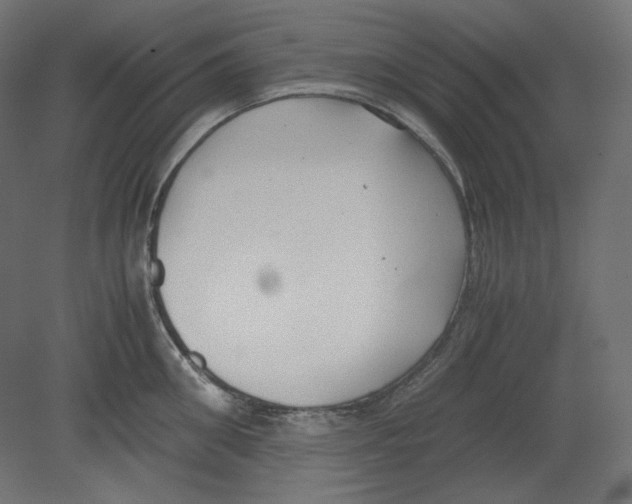 X0000080700906200701121748