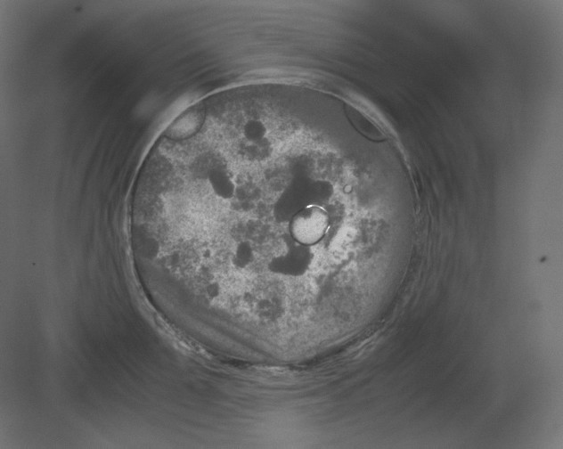 X0000080700907200701121748