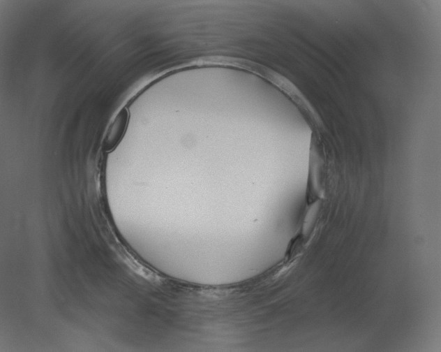 X0000080700908200701121748