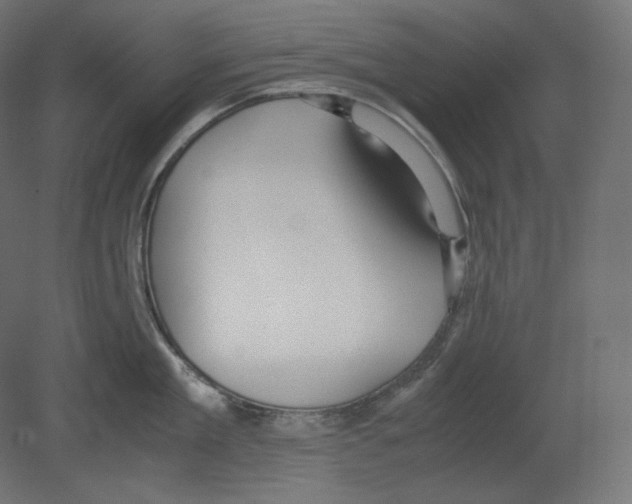 X0000080700909200701121748