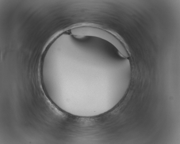 X0000080700910200701121748