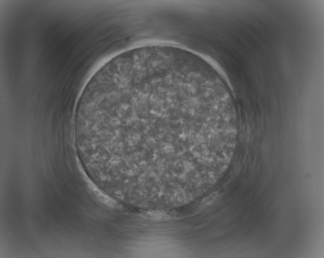 X0000080700911200701121748