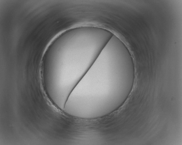 X0000080700912200701121748