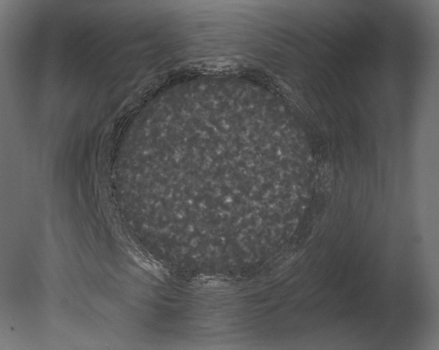 X0000080700913200701121747