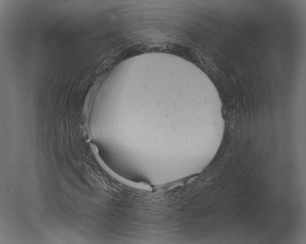 X0000080700916200701121747