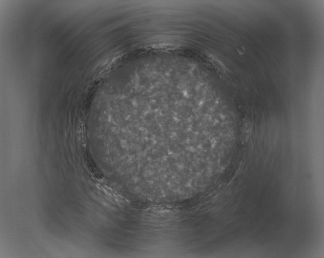 X0000080700917200701121747