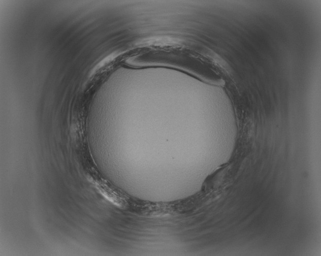 X0000080700920200701121747