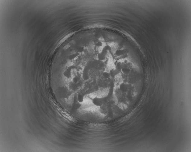 X0000080700921200701121747