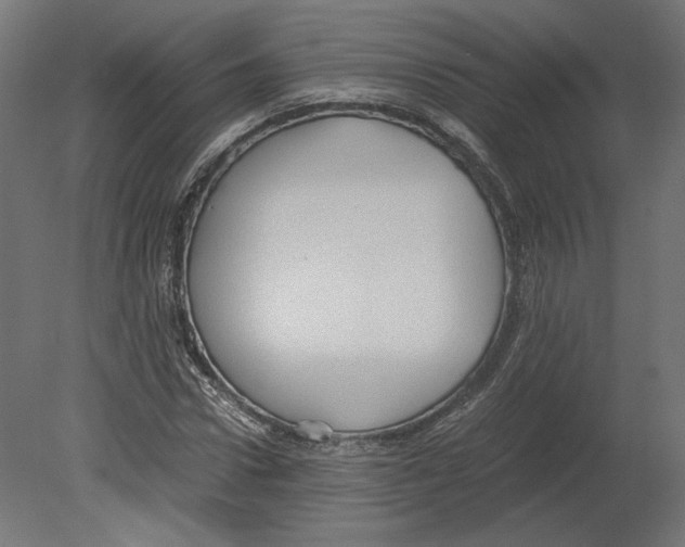 X0000080700922200701121747