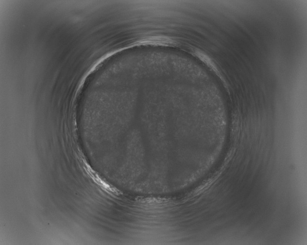 X0000080700923200701121747