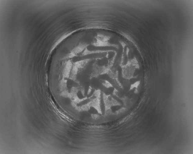 X0000080700925200701121747