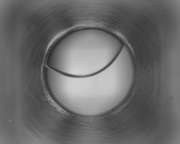 X0000080700928200701121747