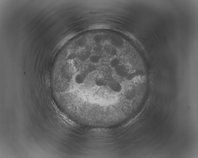 X0000080700929200701121747