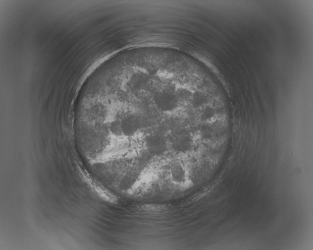 X0000080700933200701121747