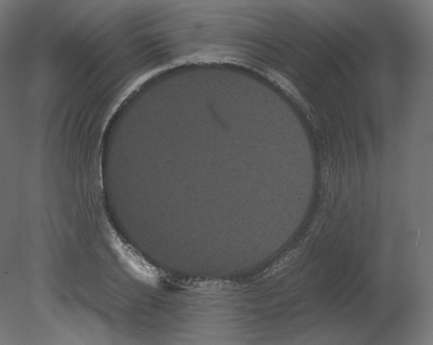 X0000080700934200701121747