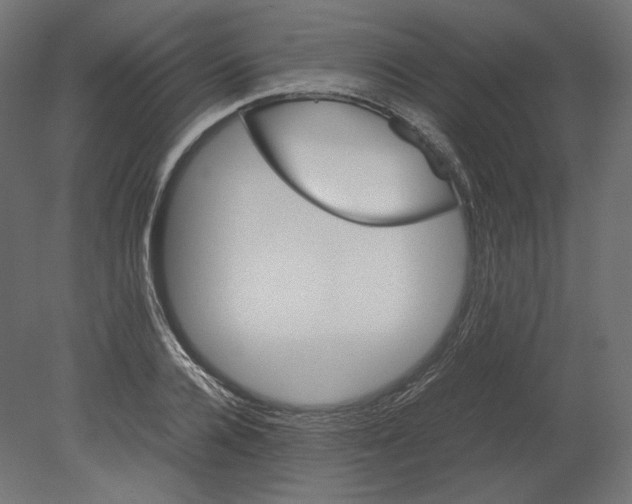 X0000080700936200701121747