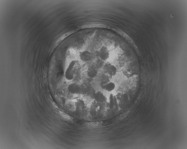 X0000080700937200701121747