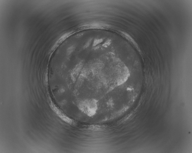 X0000080700938200701121747