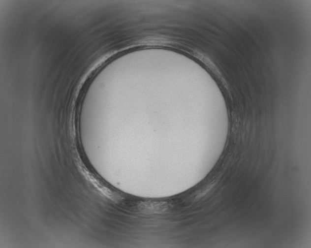 X0000080700939200701121747