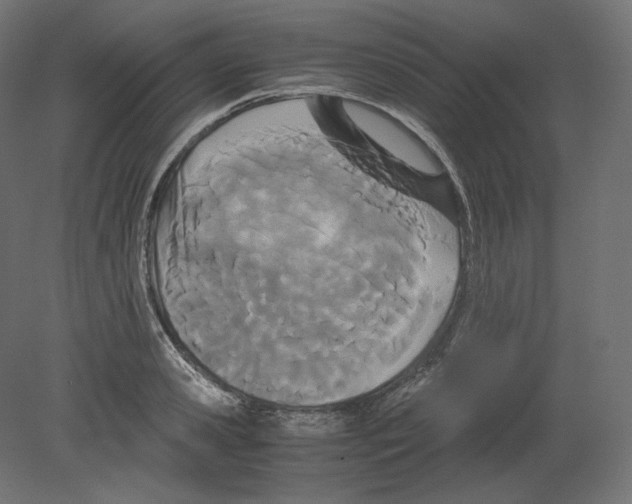 X0000080700941200701121747