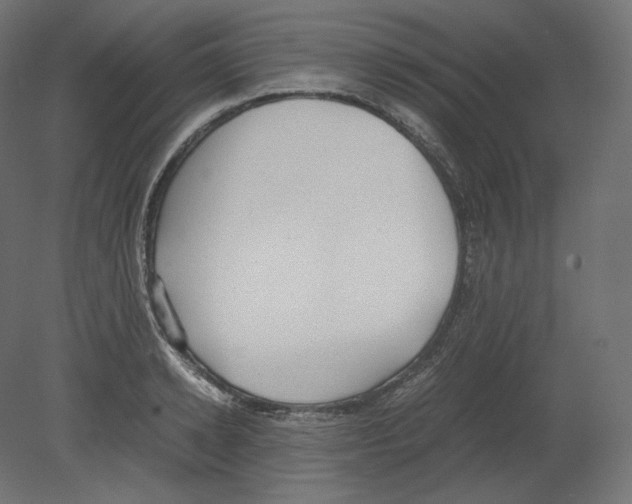 X0000080700942200701121747