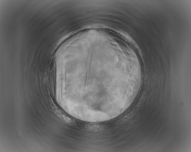 X0000080700945200701121747