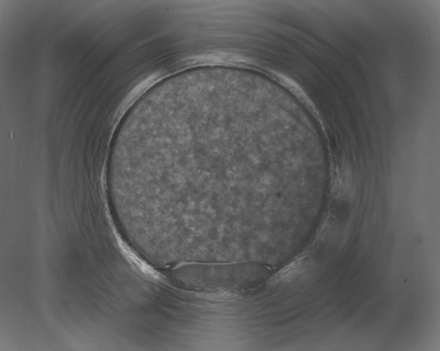 X0000080700946200701121748