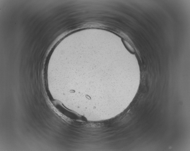 X0000080700947200701121748